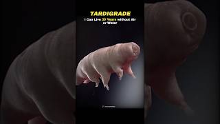 Can Tardigrade Survive in Extreme Conditions? 🗿💀 #Shorts #Space #Universe #Biology #Animals #Science