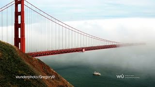 Clouds Down Low: Fog