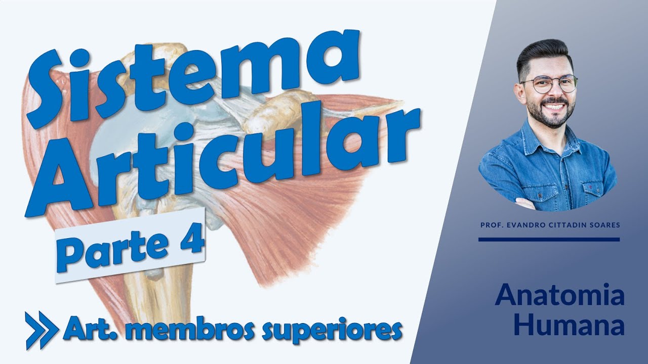Sistema Articular - Aula 04 - Articulações dos membros superiores - Anatomia Humana