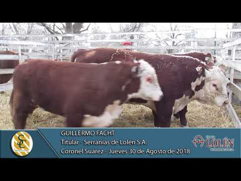 30-08-18 Nota Guillermo Facht - Serranias de Lolén SA - Serranías de Lolén S.A. - Coronel Suárez