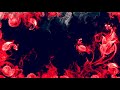 Smoke Effects Background - Red Smoke Video - No Copyright Video