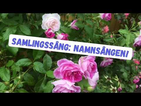 Samlingssången - Namnsången - Misc Traditional