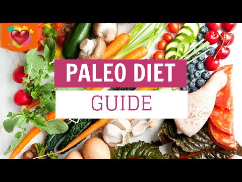 , title : 'The Paleo Diet | A Beginner's Guide Plus Meal Plan'