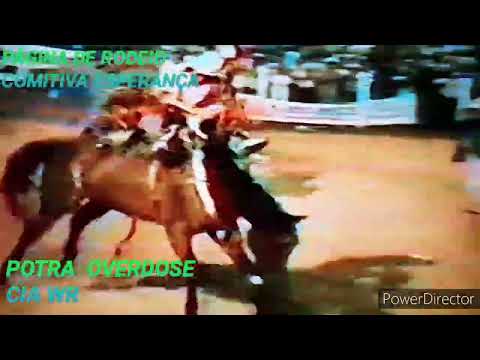 NILTON DONIZETE DE SOUZA (TUQUINHA) V& POTRA  OVERDOSE