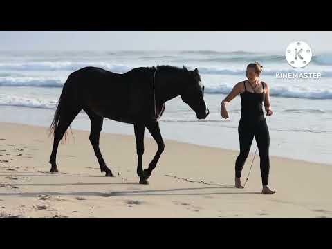 Blackbear feat.New Found Glory-Nothing Matters