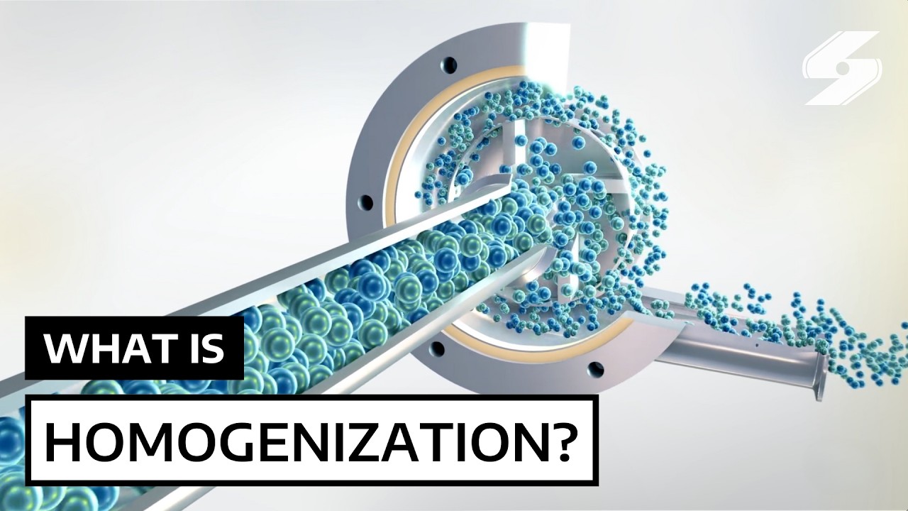 What is Homogenization?