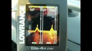 Эхолот lowrance 4 elite dsi