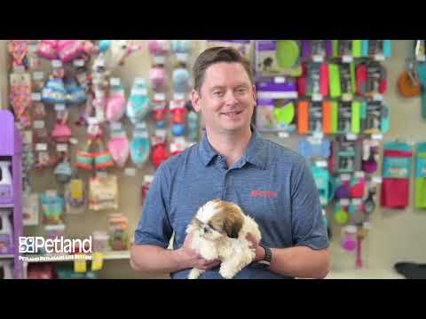 Why Petland Racine?