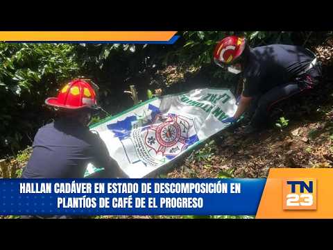 Hallan cadáver en estado de descomposición en plantíos de café de El Progreso