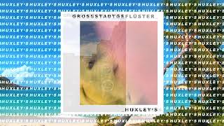 Huxley's Music Video