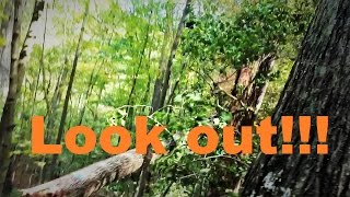 Whole world falling down around me!!!