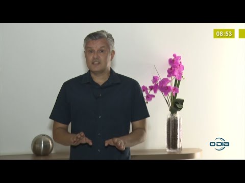 HistoÌrias de empreendimentos contadas pelo Bom Dia News 05 10 2021