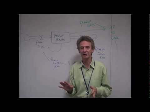 Intro to System Dynamics Video 13d - Whac-a-Mole