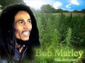 Bob Marley - Jamming (Rom C Remix) 