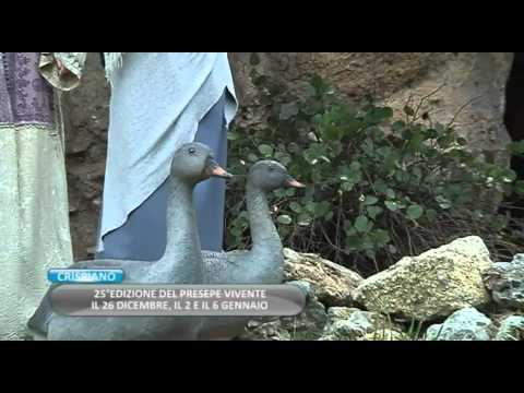 SVZ PRESEPE CRISPIANO