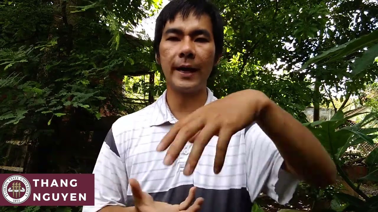 FSU New Faculty 2022: Introducing Thang Nguyen