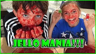 MINECRAFT JELLO CHALLENGE | We Are The Davises