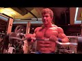 Reverse Barbell Curl