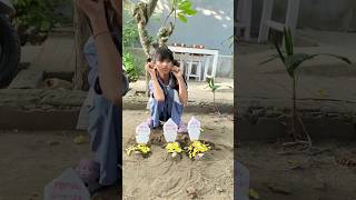 Download lagu WAH KAK DISTA SEDIH SEKALI KARENA AYAM WARNA WARNI MATI #viralvideo #viralshort #shortviral #trend mp3