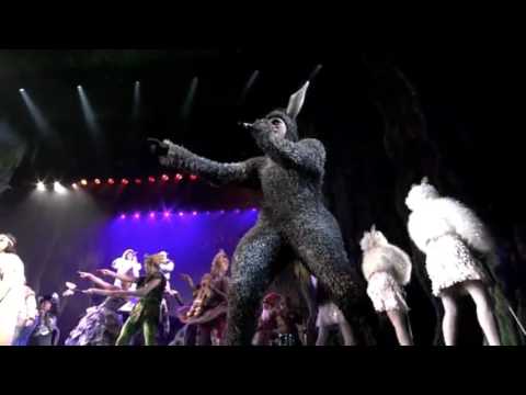 Shrek the musical~I'm a believer