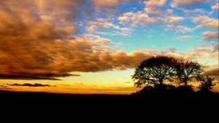 Omnia - Bran Omnia - Bran
