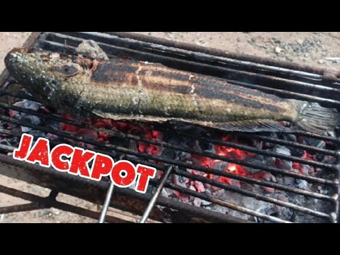 P2 - JACKPOT BIG DALAG at BIG PAGONG