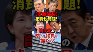 石破「消費税は全額社会保障に使っています」#政治 #shorts
