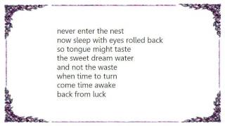 Howe Gelb - Robes of Bible Black Lyrics