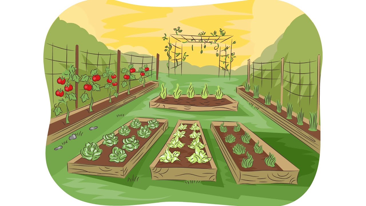 Episode 5: Gene Therapy