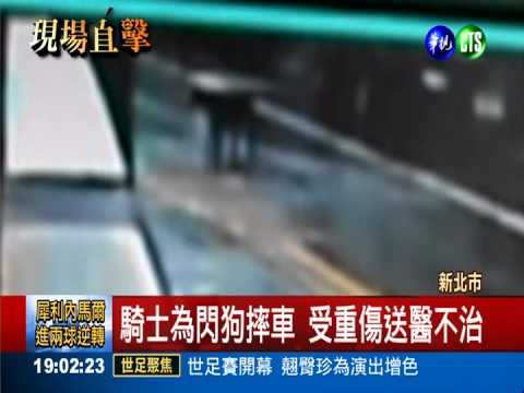 黑狗亂竄害死騎士 飼主判5個月!