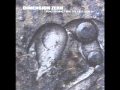 Dimension Zero - Forgotten..but not Forgiven