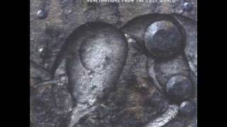 Dimension Zero - Forgotten..but not Forgiven