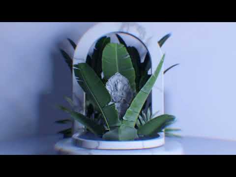 STAR SEED - Metaphysical