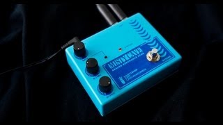 Video thumbnail for Lastgasp Art Laboratories - MISTY CAVE - Analog Resonance Echo LAL MC by Dennis Kayzer