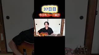 100日後に路上ライブをするギター初心者 37日目　今日もコード進行　#ギター初心者 #弾き語り #100日後