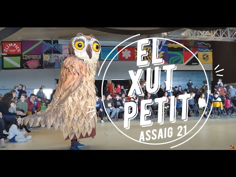 🤫 ASSAIG Gegants Carnaval Solsona 2020 | Preparant "El Xut petit"! 🤫