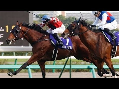 2010 Japan Sprinters Stakes G1 - Ultra Fantasy (極奇妙) - HW.Lai (黎海榮頫放爆出32倍冷門首位本地華將在日本贏一級賽) - 衝鋒駿驥被貶第四
