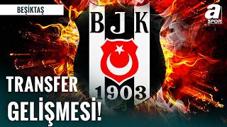 Beşiktaş JK Yaz Transfer Planlaması ve Kadro Yapılanması