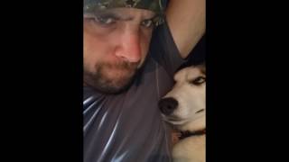 Husky won't share couch