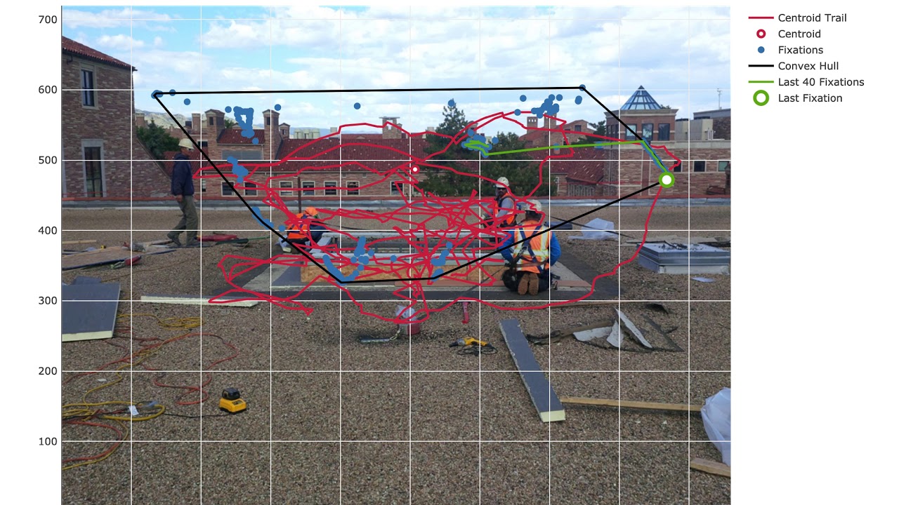 VisualEyes - Eye tracking data visualization