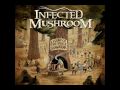 End of the road - Infected Mushroom