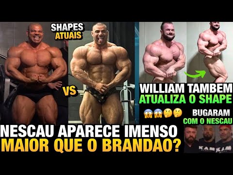 NESCAU MAIOR QUE O BRANDÃO ? SHAPES ATUAIS LADO A LADO - WILLIAM ESTÁ GIGANTESCO E TAMBÉM ATUALIZA