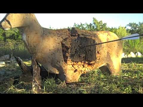 ArrowSling'nTV- PART 2, SHOOTING NEW SAMICK SAGE RECURVE BOW $119 - bow hunting