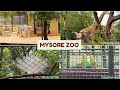 Mysore Zoo Animals Video Zoological Garden Best Tourist Place In Karnataka Indian Tourism