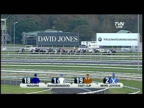 BMW Doncaster Mile Royal Randwick 2012 - More Joyous