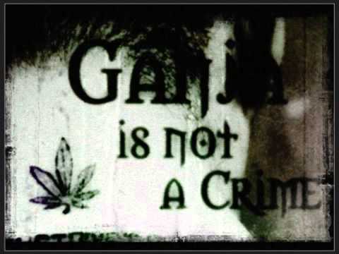 Skuddy - Cannabis