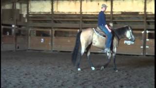 preview picture of video 'Sheza Fringe Benefit, 2009 AQHA Filly'