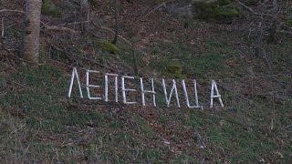 Лепеница