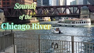 Chicago River Views & Sounds | Relaxing 20-Minute City Ambience (Day & Night Edition)