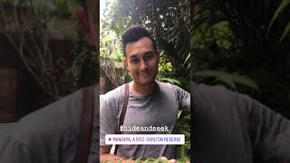 Download lagu Arifin Putra liburan di Ubud Bali 🔥🔥 mp3 Download lagu Arifin Putra liburan di Ubud Bali 🔥🔥 mp3